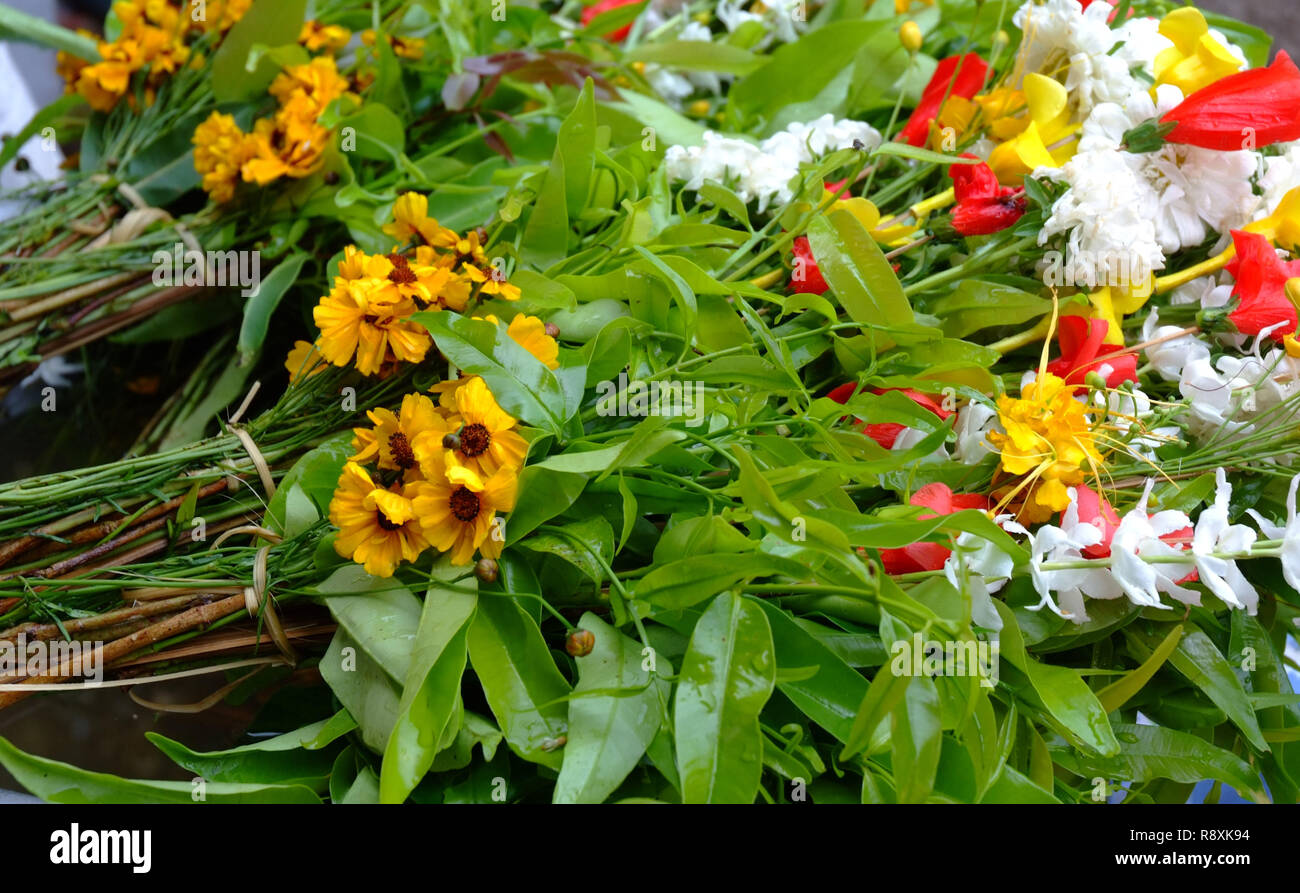 flower used for prayer Stock Photo Alamy