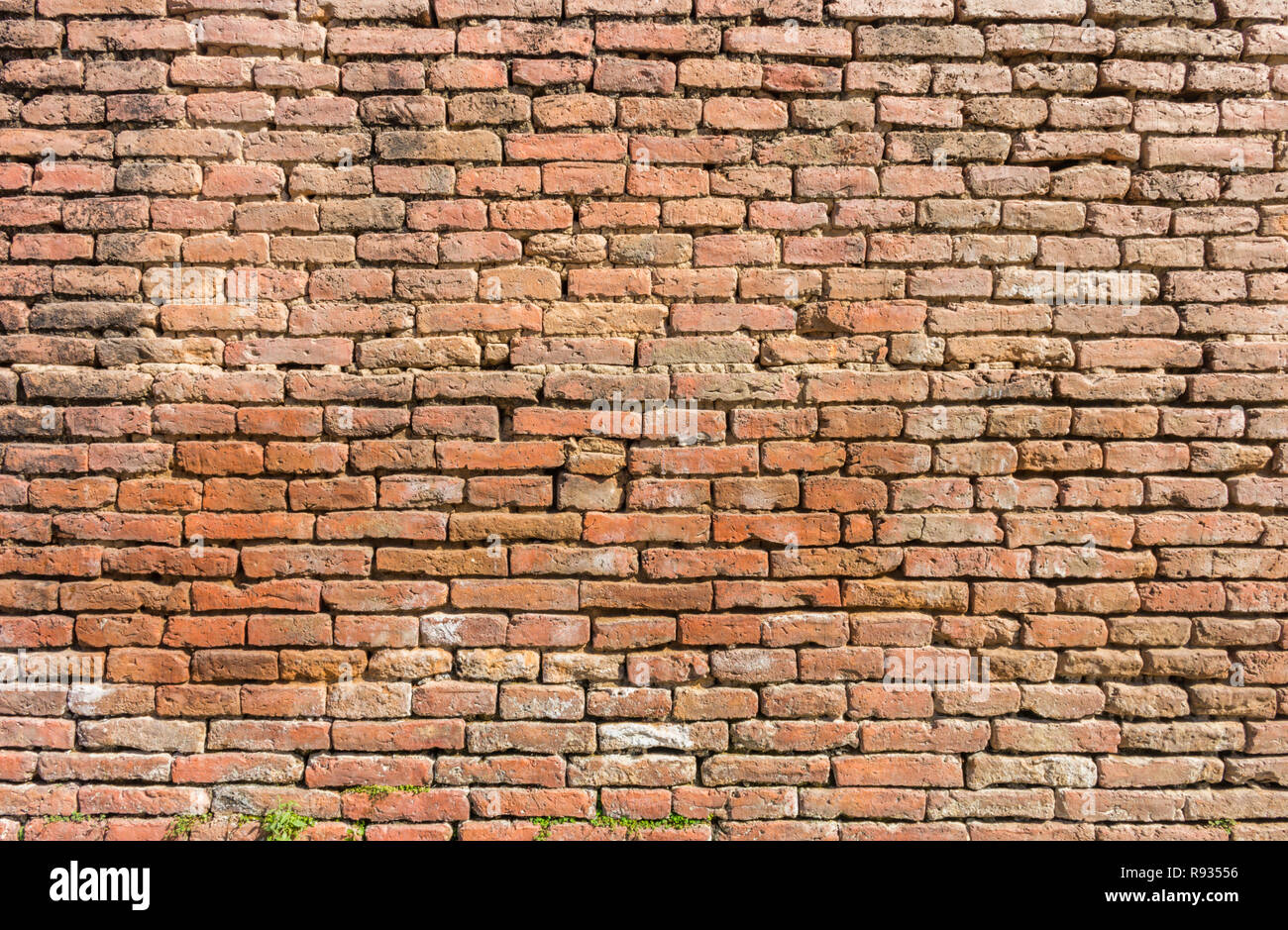 Rough brick wall Stock Photo Alamy