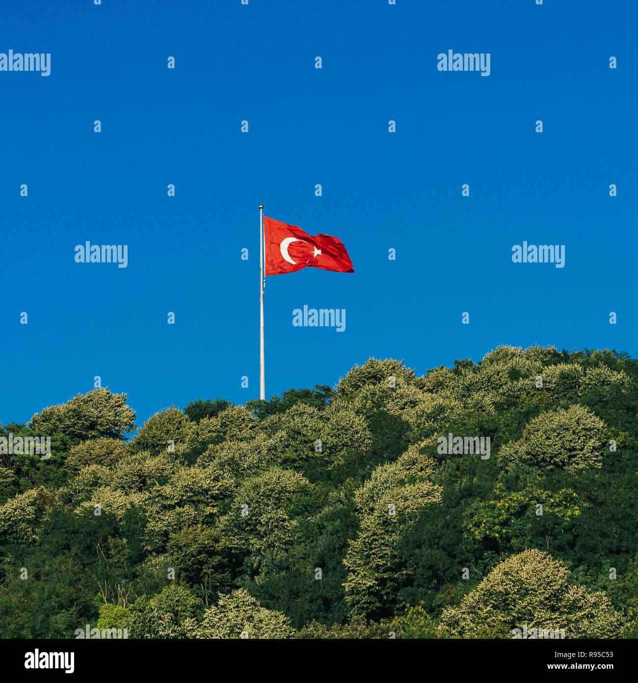 Turkey Flag Flying Over Forest Stock Photo Alamy