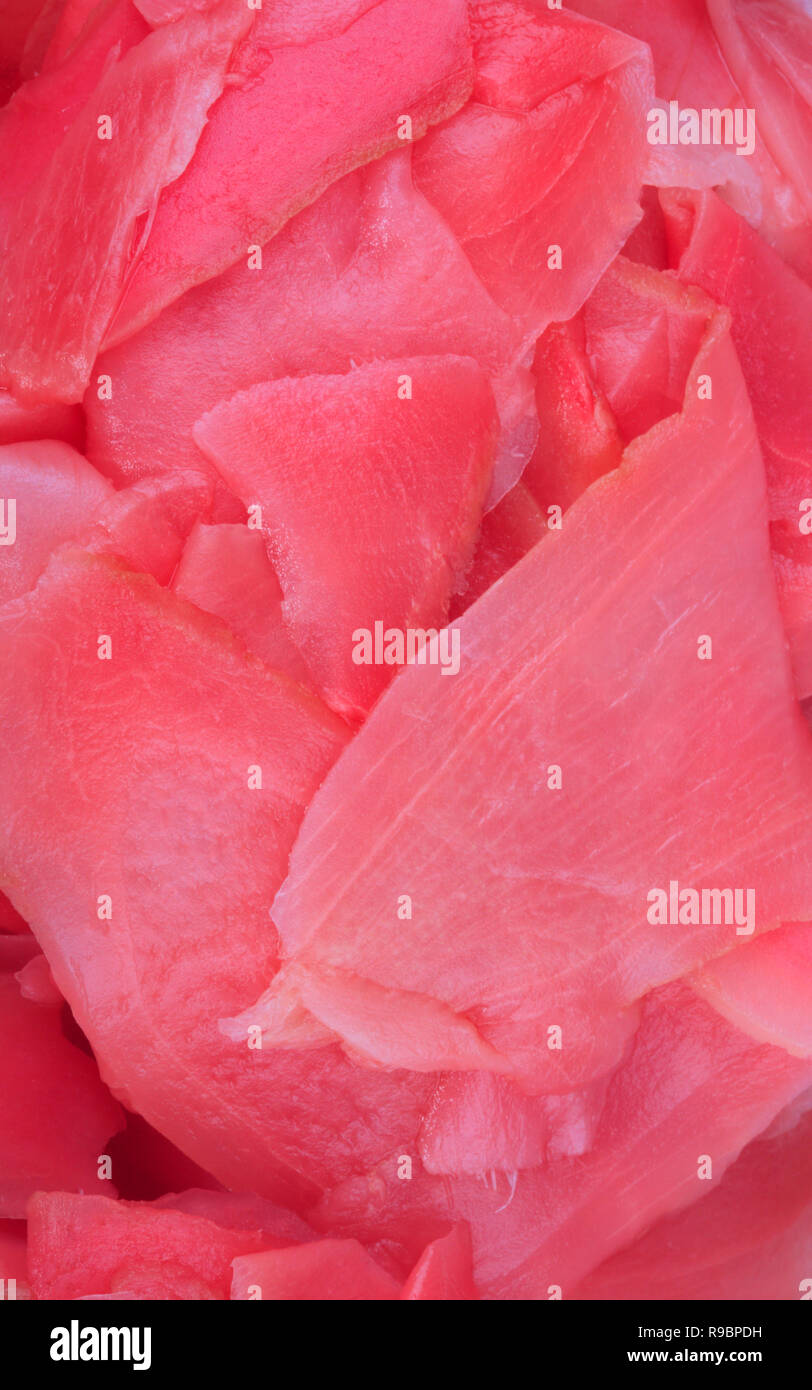 pink ginger at day Stock Photo Alamy