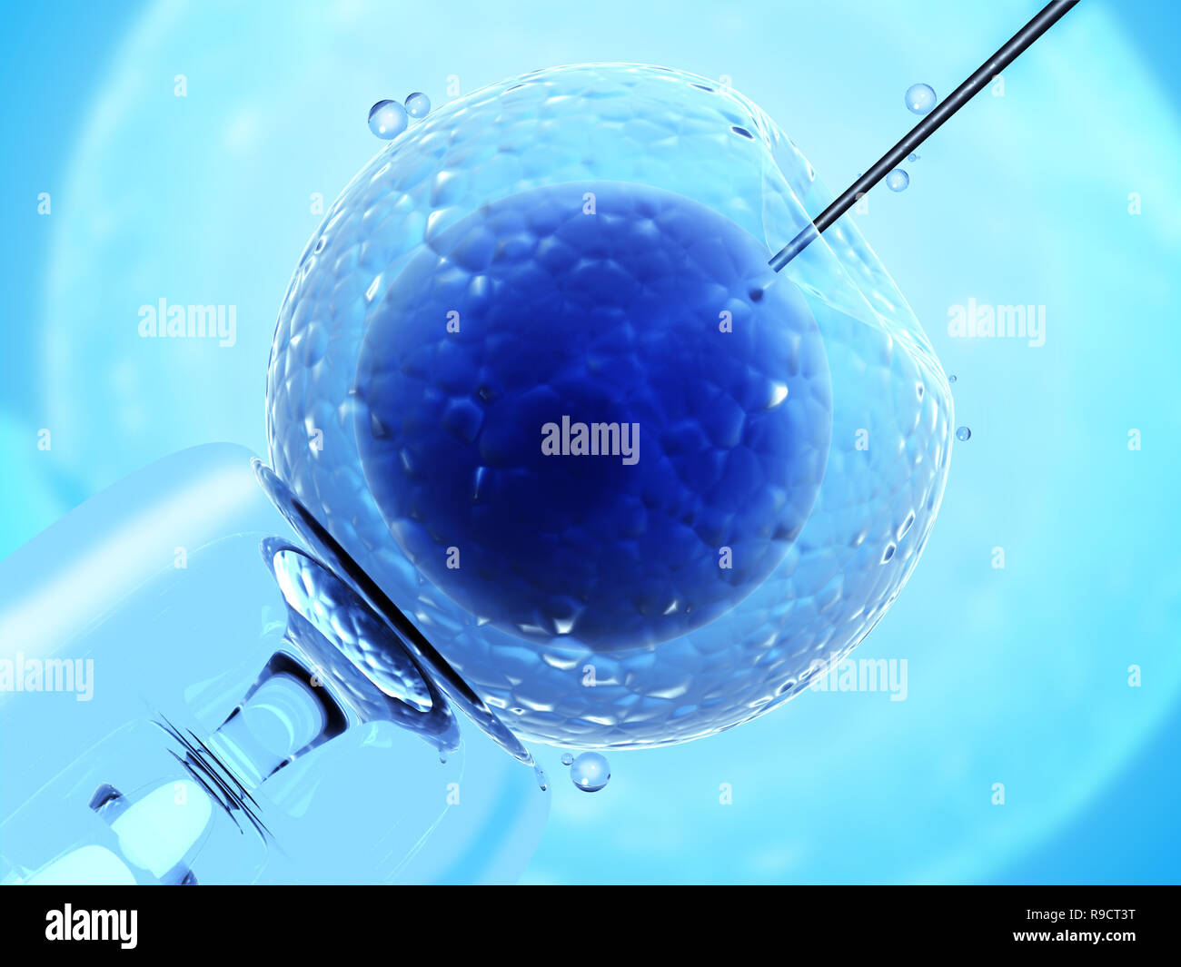 Cell injection artificial insemination Stock Photo Alamy