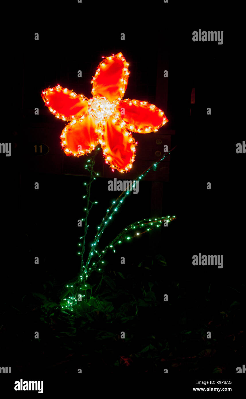 flower christmas light Stock Photo Alamy