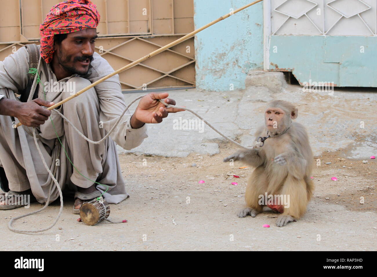 Monkey charmer karachi pakistan hires stock photography and images Alamy