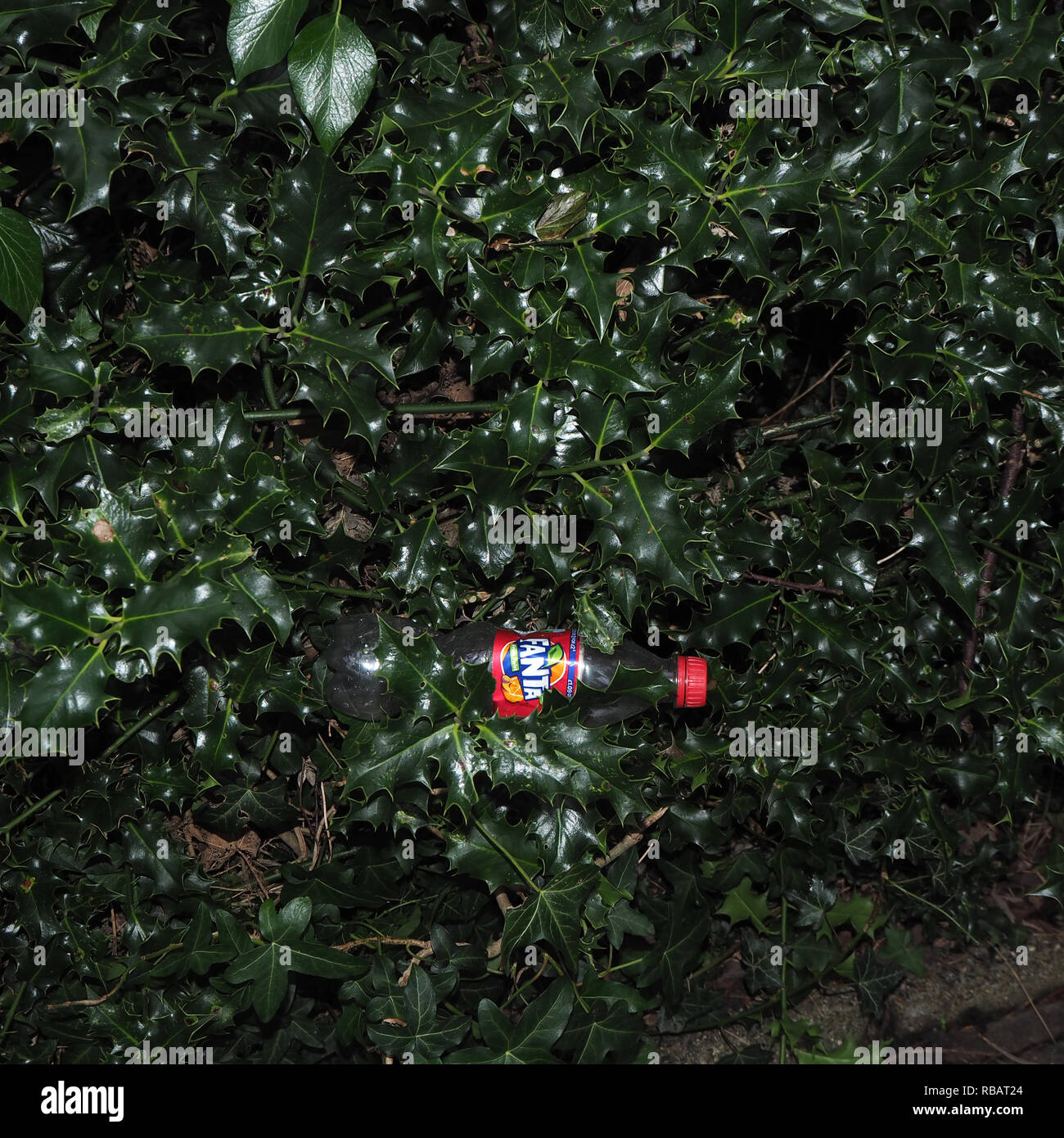 Throw away camera hires stock photography and images Alamy