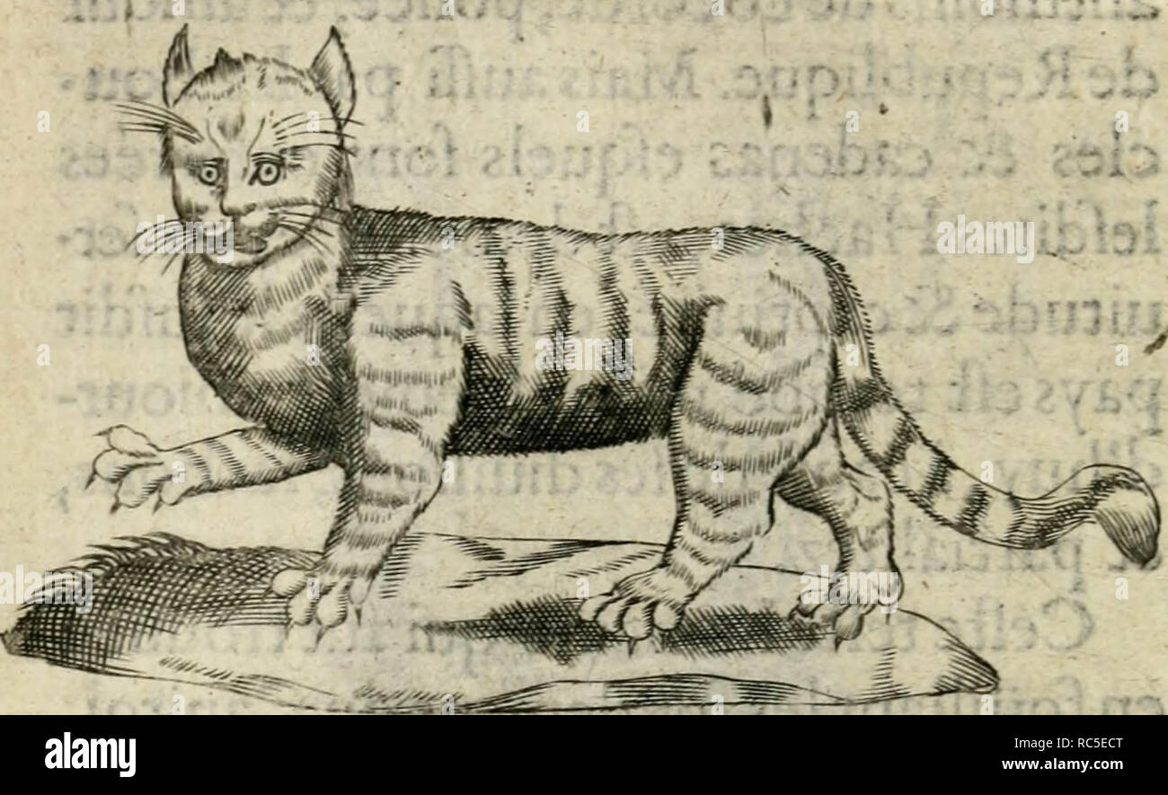 "Devises heroiques et emblemes" (1622 Stock Photo Alamy