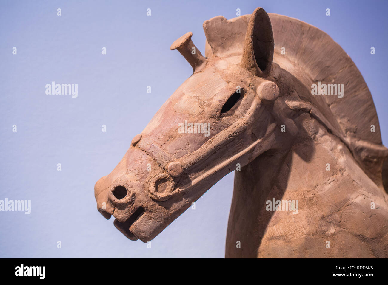 Horse statue head Stock Photo Alamy