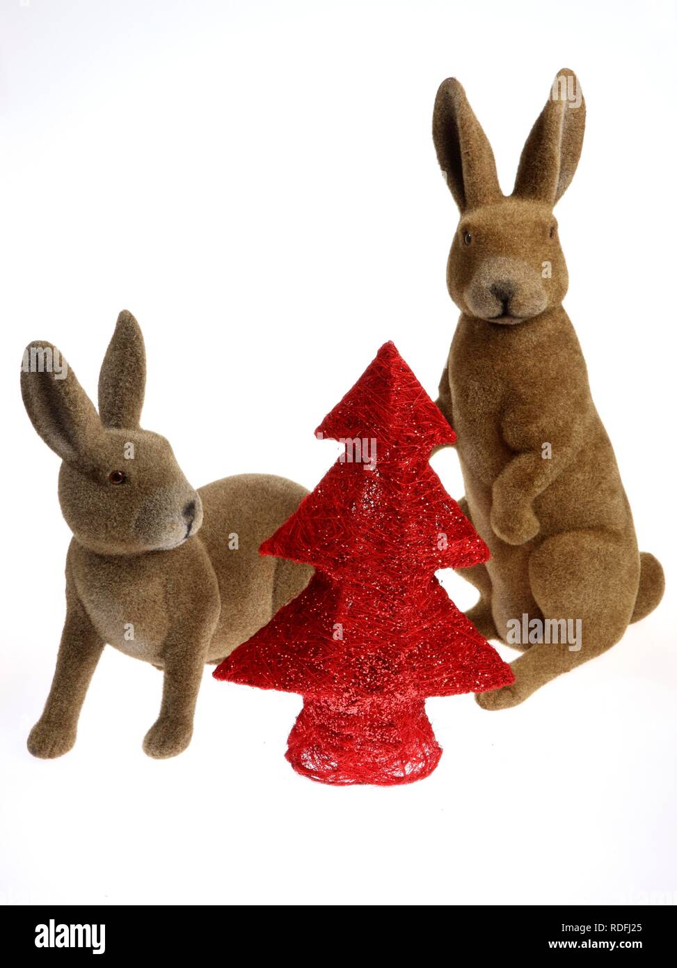 Christmas bunnies hires stock photography and images Alamy