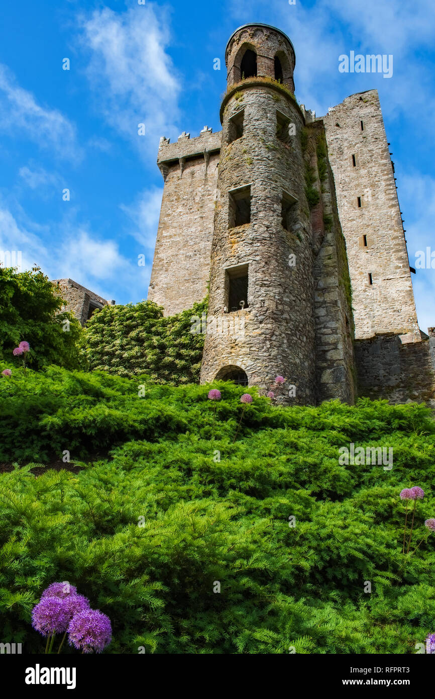 Tower at Blarney Castle Stock Photo Alamy