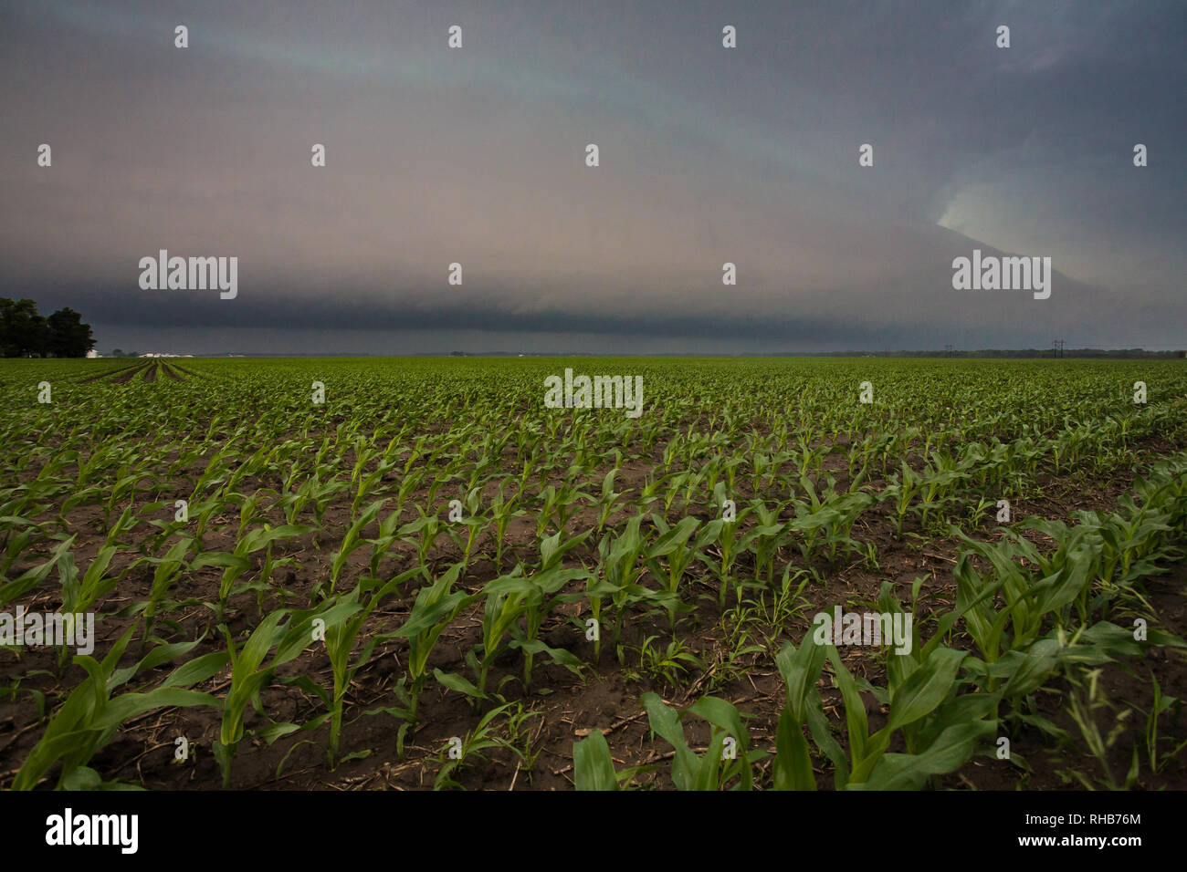 , Logan County, Illinois, USA Stock Photo Alamy