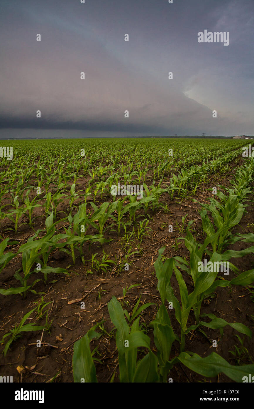 , Logan County, Illinois, USA Stock Photo Alamy