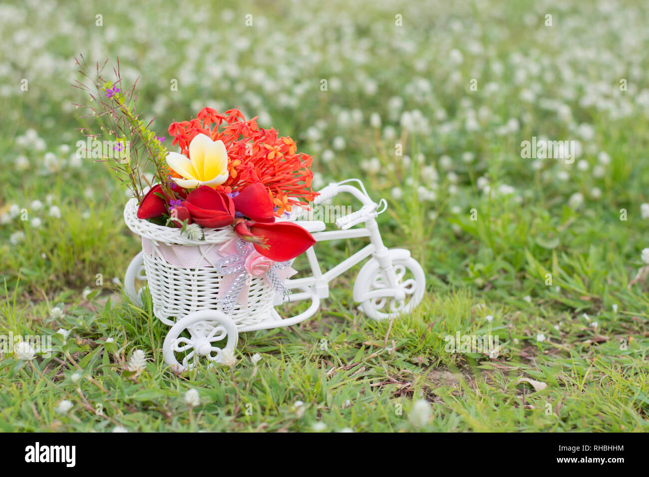 Bike basket present hires stock photography and images Alamy