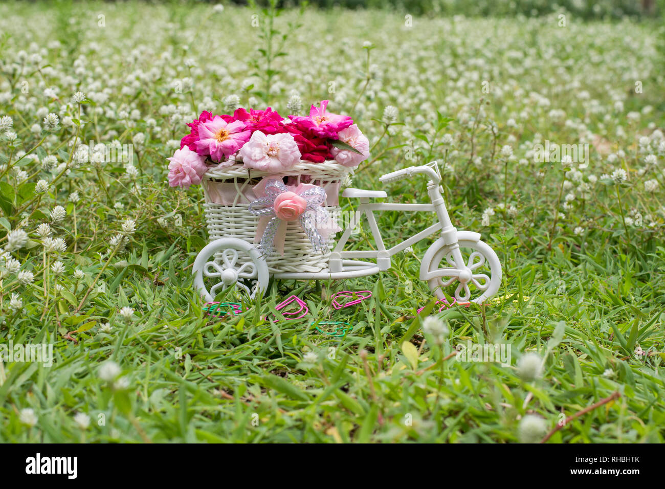 Flower delivery bike Stock Photo Alamy