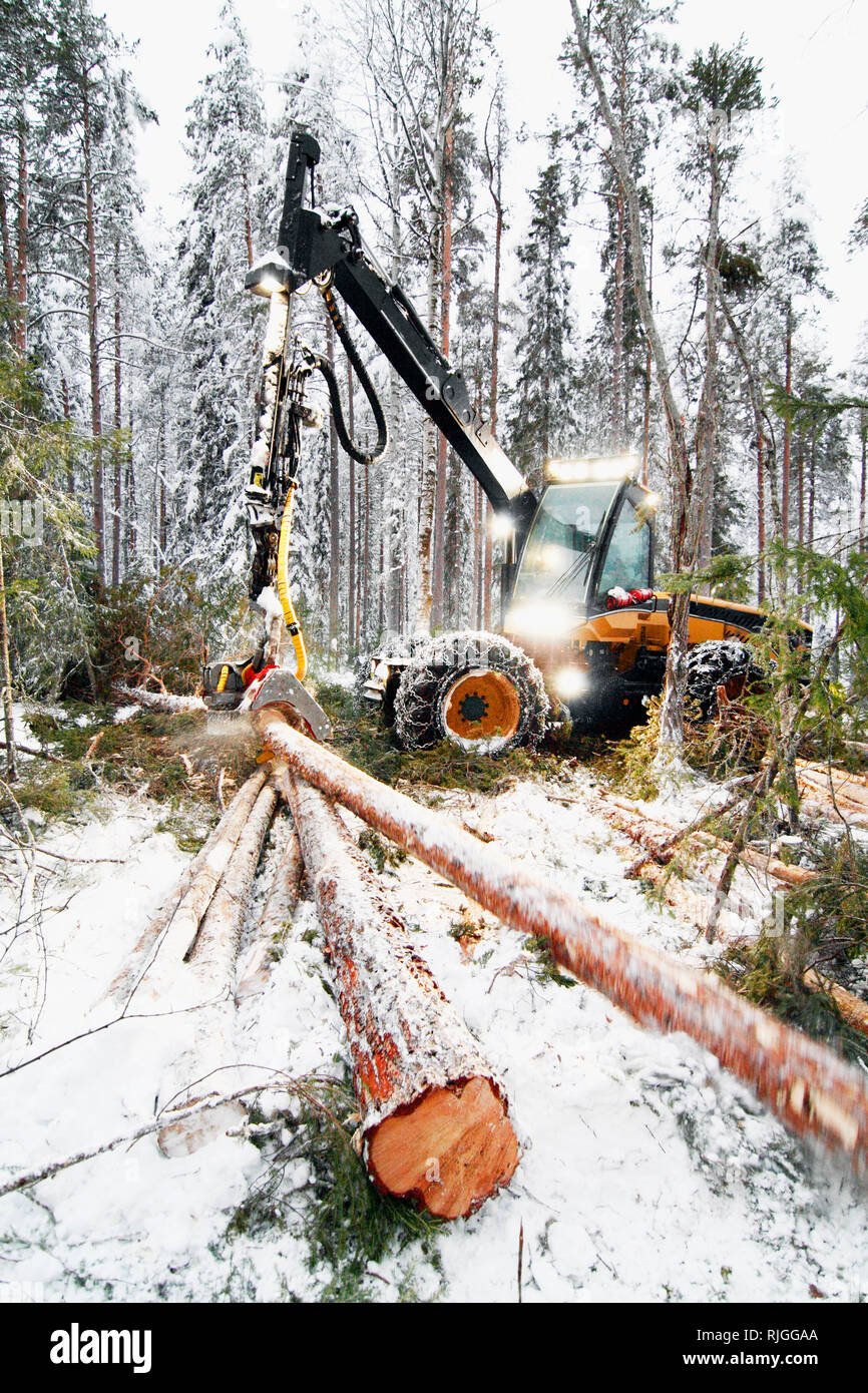 Logging vehicle carrying timber Stock Photo Alamy