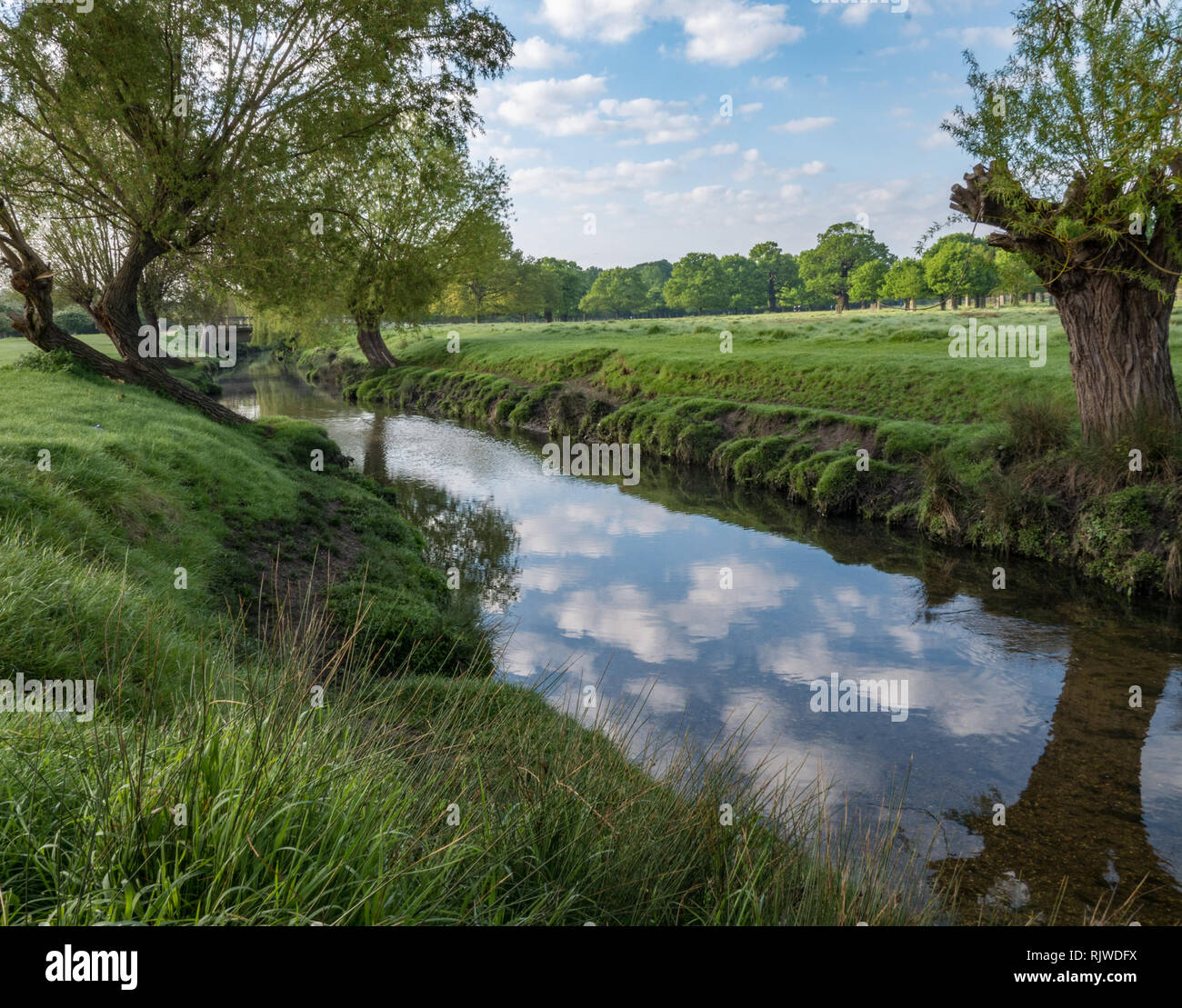Willow trees on river bank hires stock photography and images Alamy