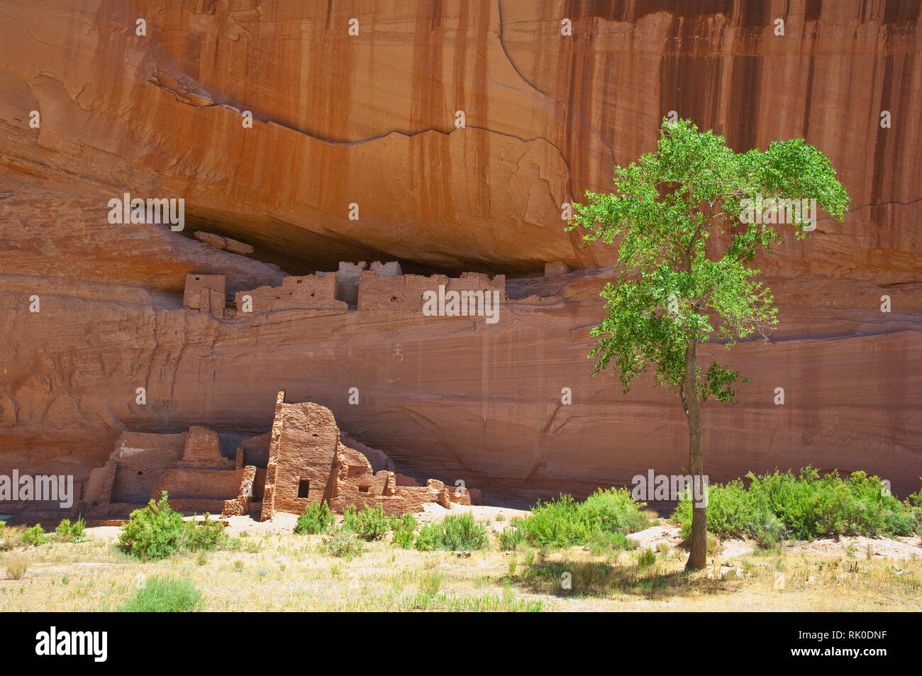 Indian Cliff Dwellings Stock Photo Alamy