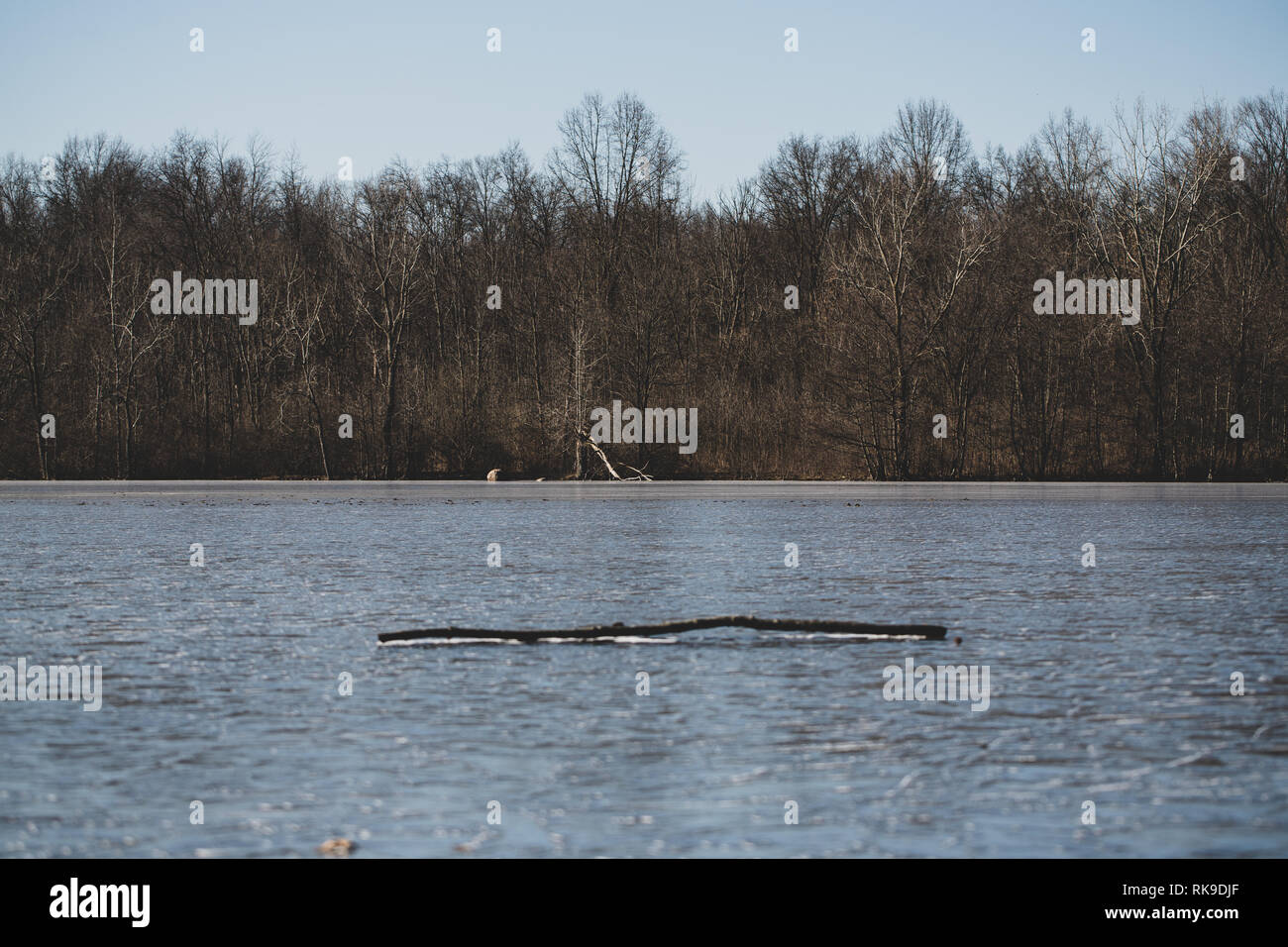Columbus lake hires stock photography and images Alamy