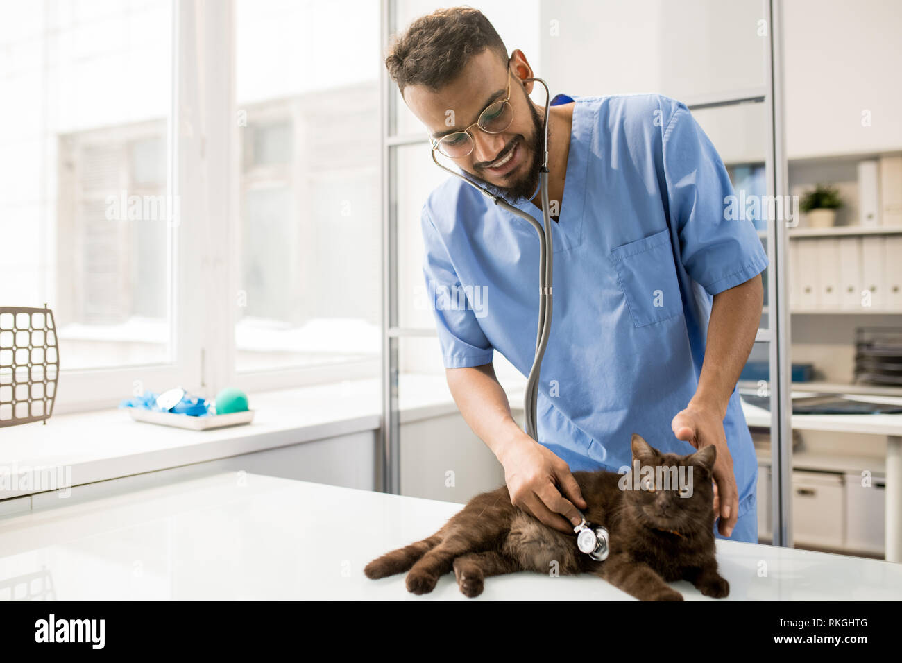 Veterinary treatment hires stock photography and images Alamy