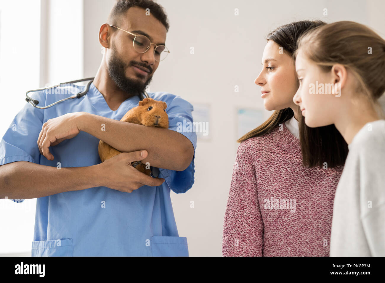 Animal care Stock Photo Alamy