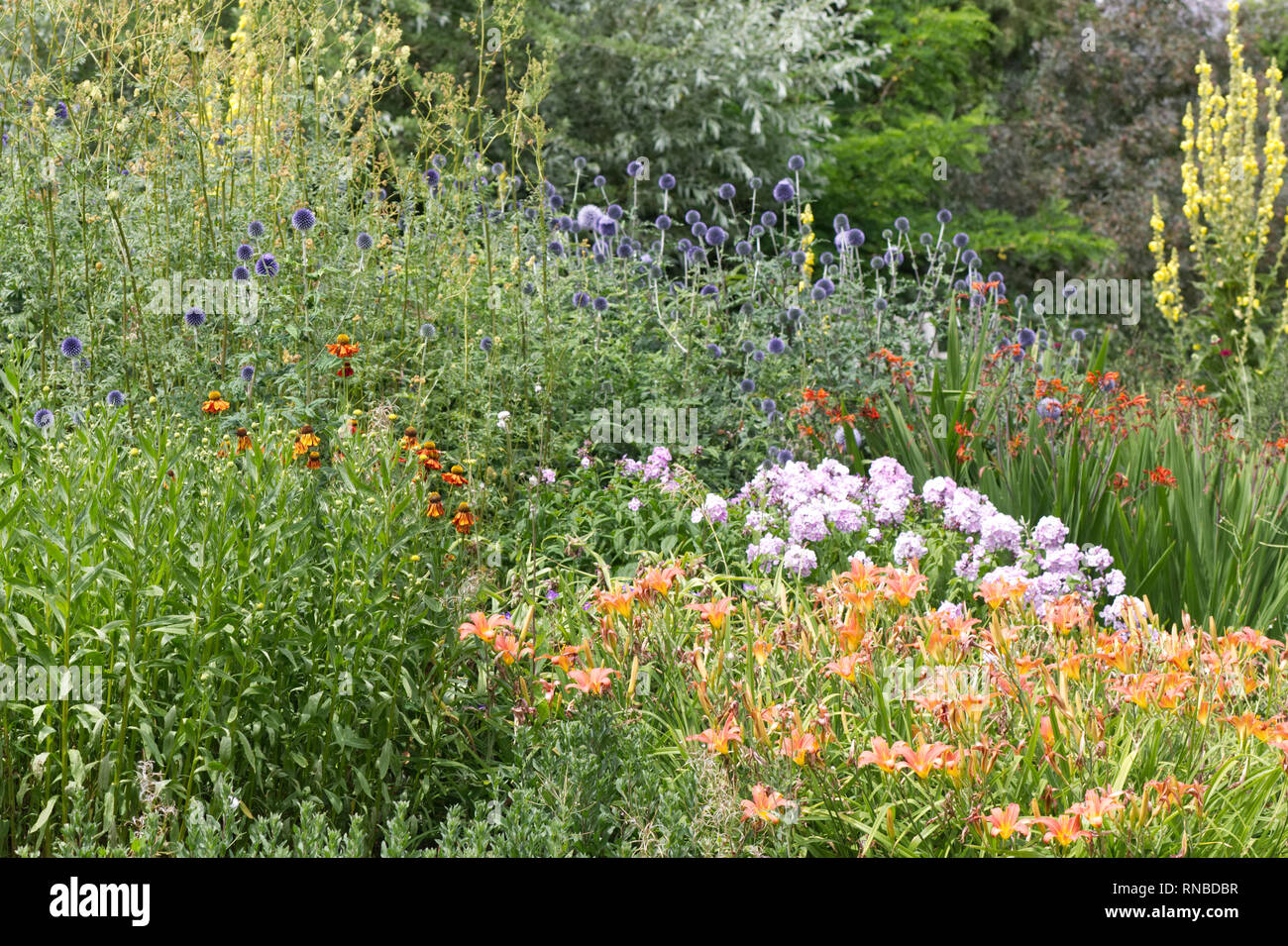 Overgrown Gardens High Resolution Stock Photography and Images Alamy