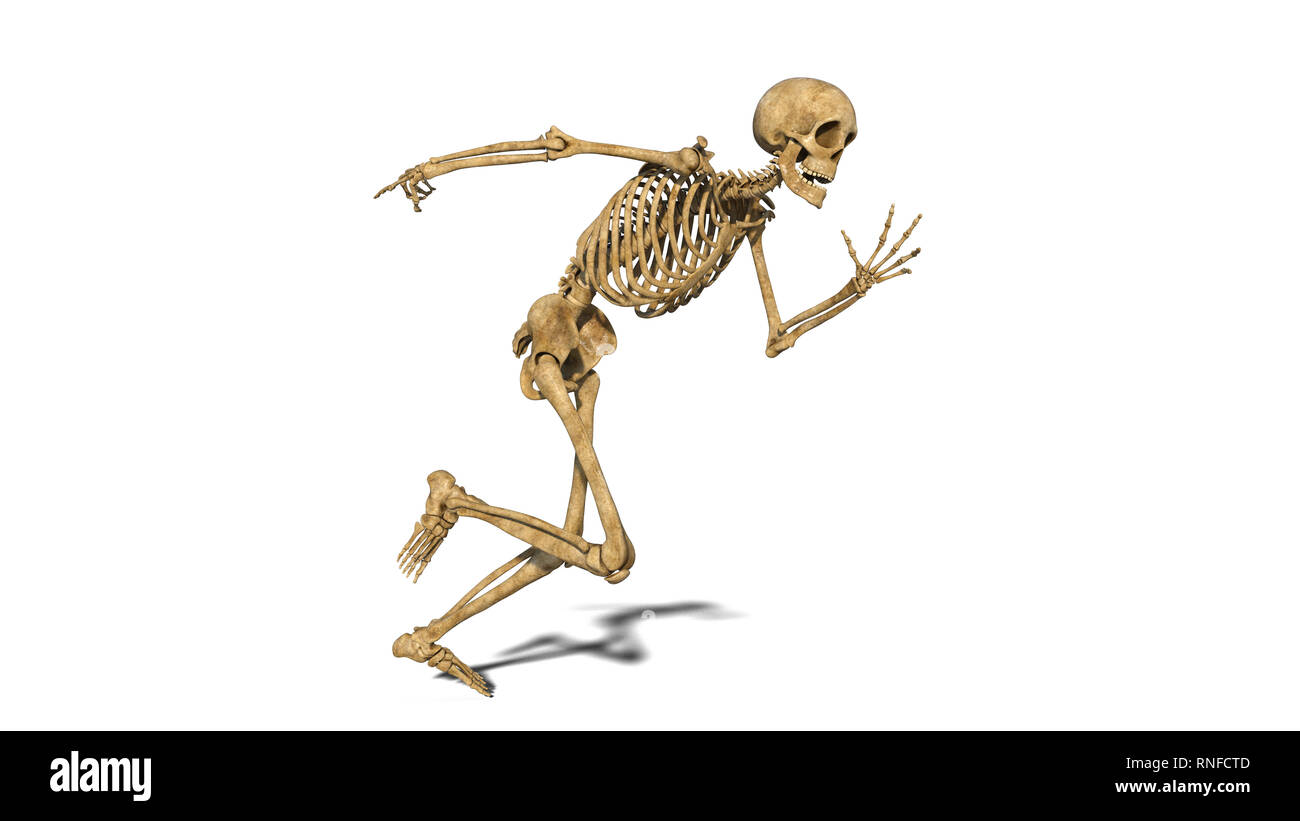 Funny skeleton hires stock photography and images Alamy