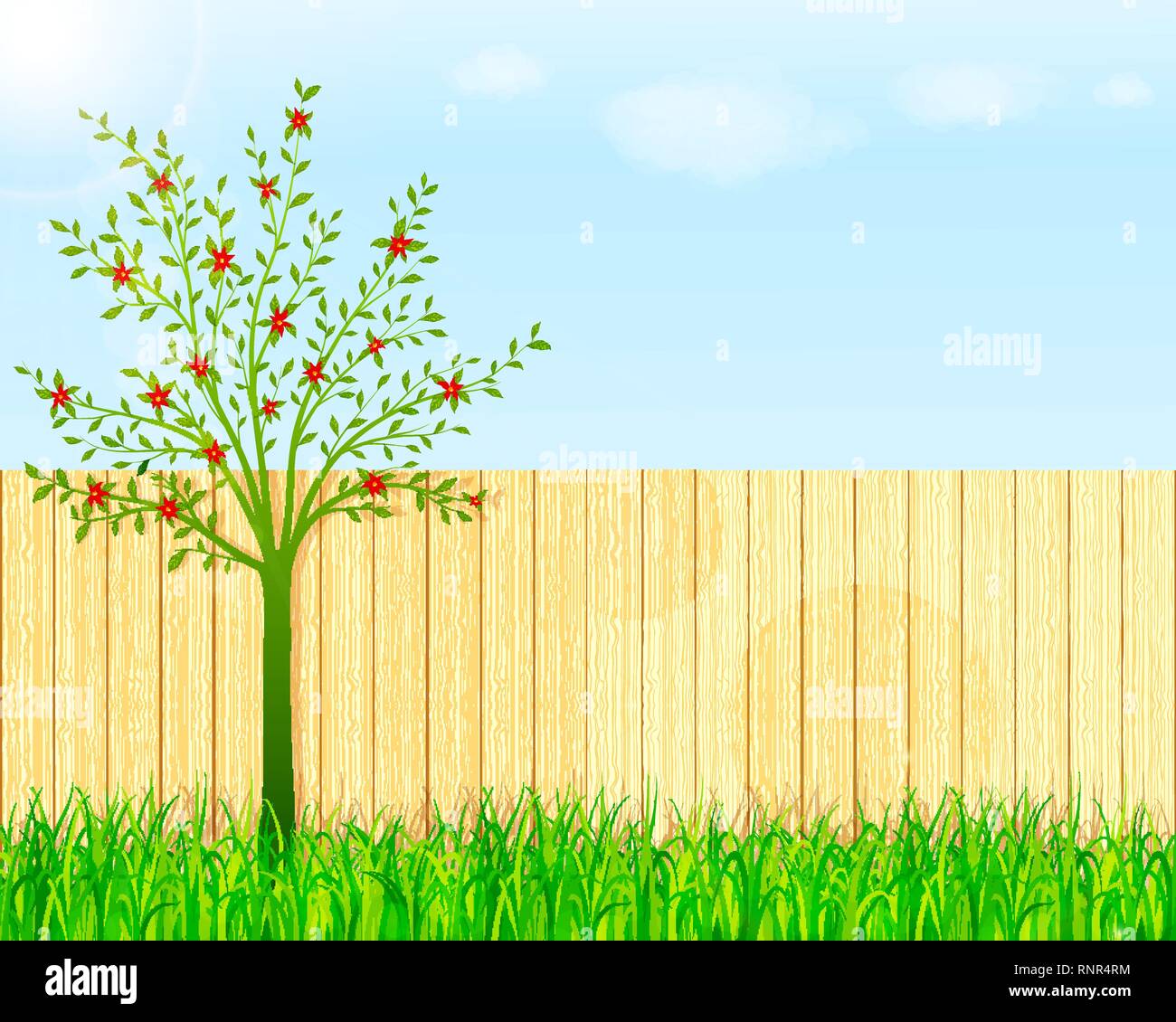 Backyard garden vector background Stock Vector Image & Art Alamy