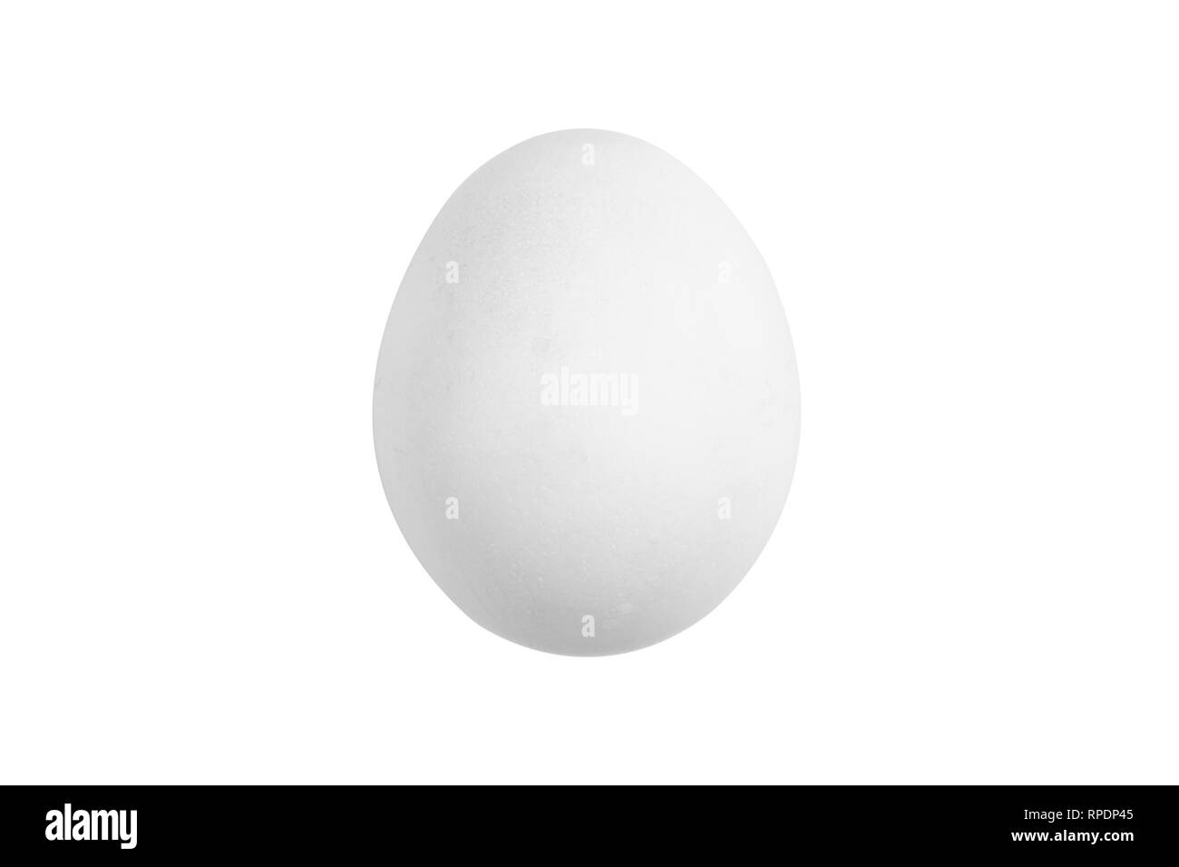white egg isolated image Stock Photo Alamy