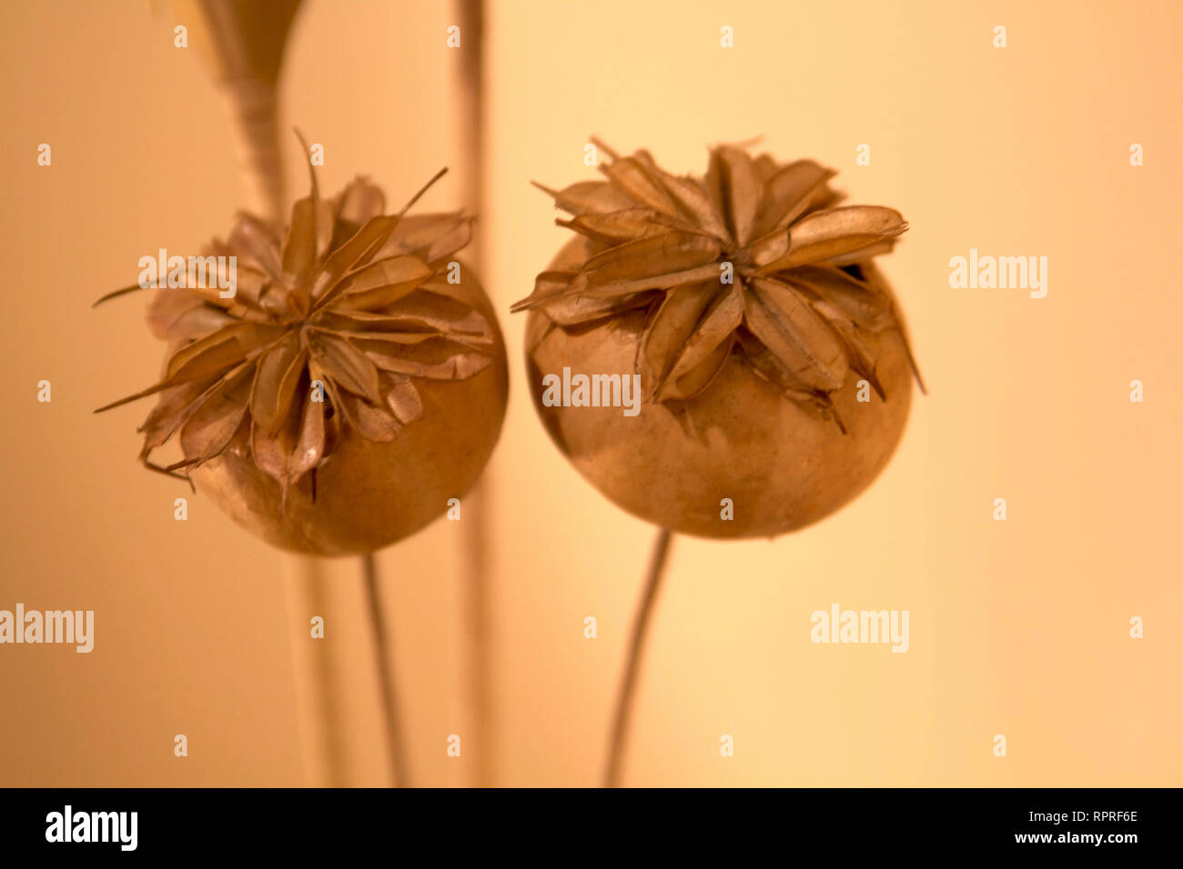 Configuracion High Resolution Stock Photography and Images Alamy