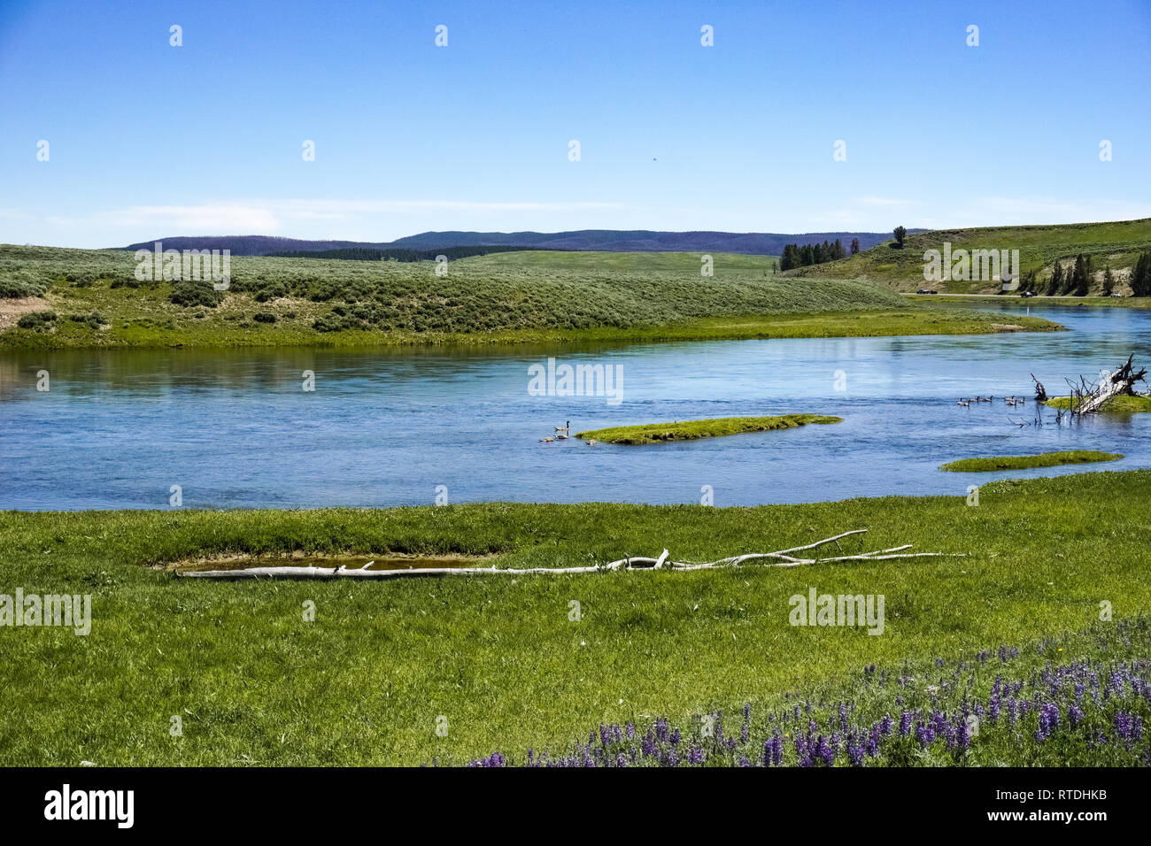 Yellowstone river valley Stock Photo Alamy