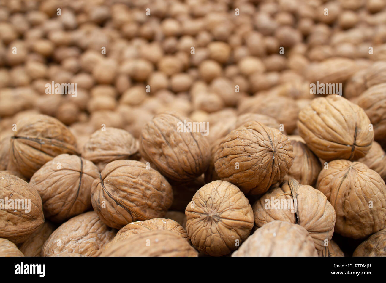 Dried shelled walnuts Stock Photo Alamy