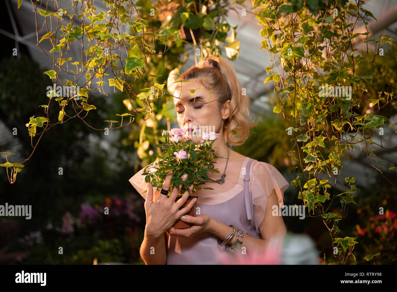 Nice young woman feeling the smell of roses Stock Photo Alamy
