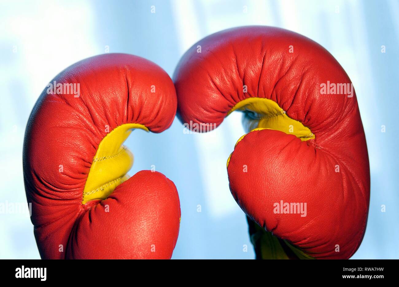 Red boxing gloves, Germany Stock Photo Alamy