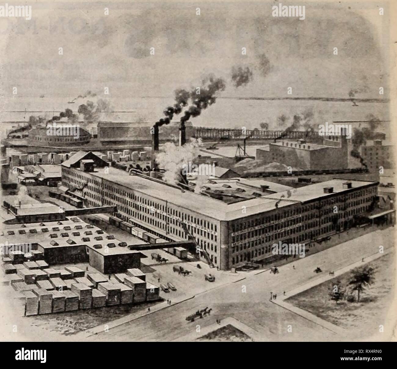 The Eastern poultryman (1902 Stock Photo Alamy