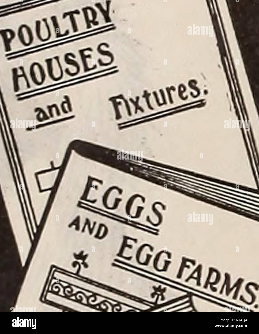 The Eastern poultryman (1905 Stock Photo Alamy