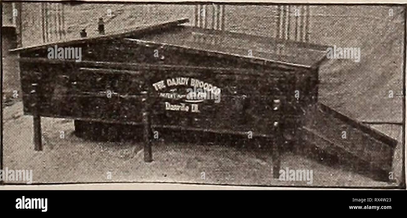 The Eastern poultryman (1905 Stock Photo Alamy