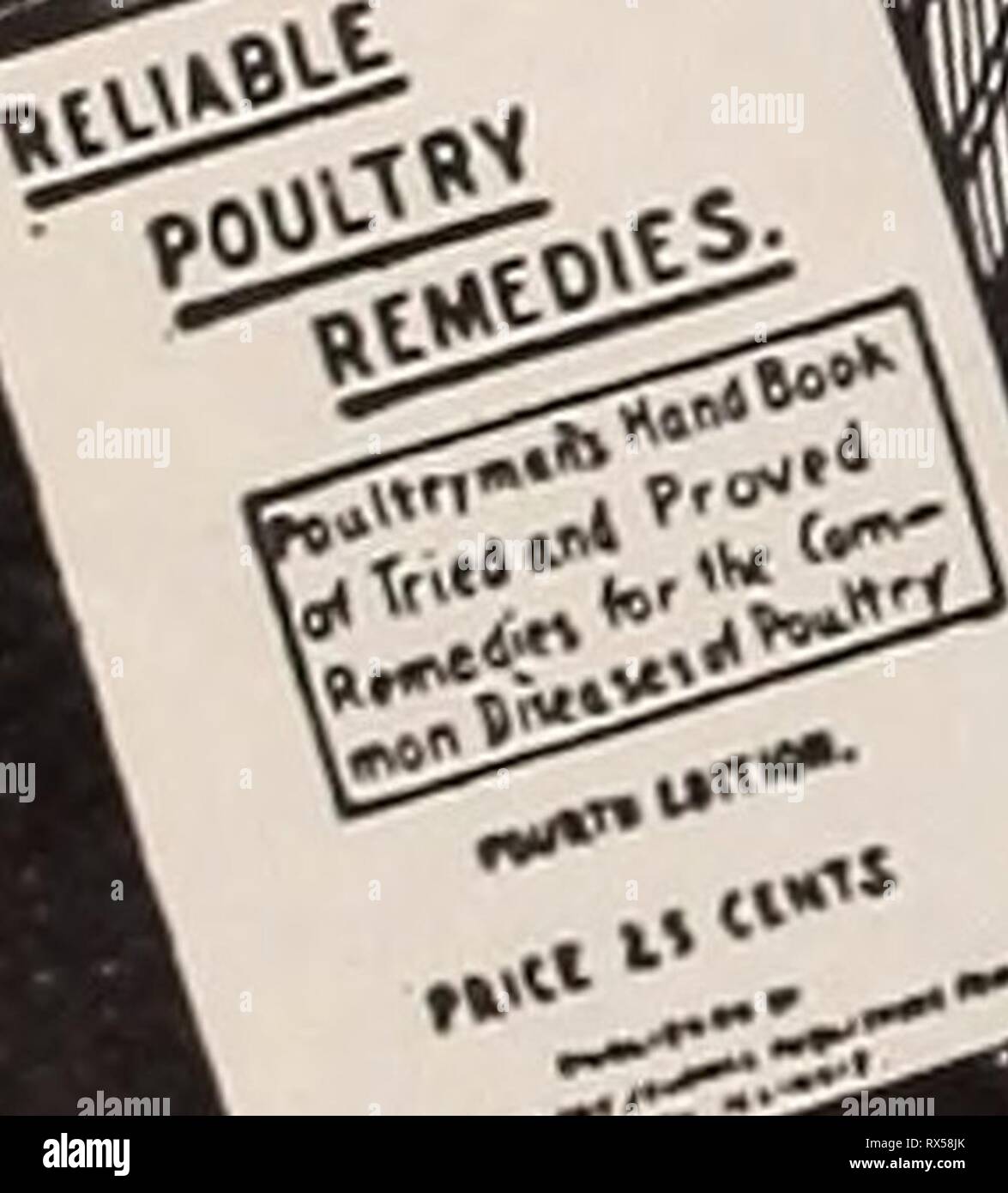 The Eastern poultryman (1904 Stock Photo Alamy