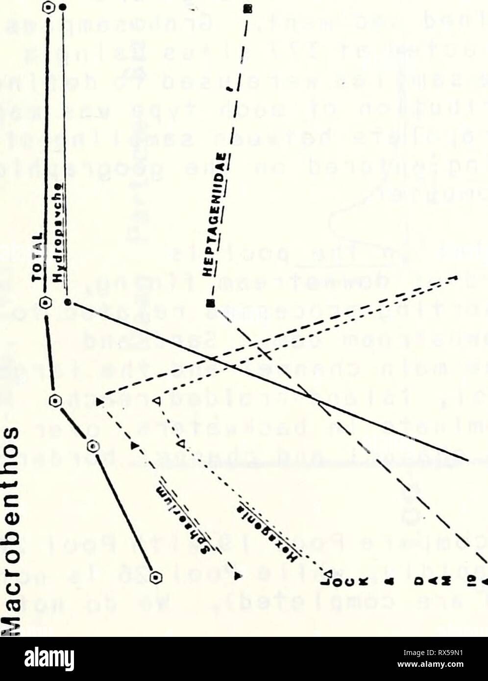 Ecological structure and function of Stock Photo - Alamy