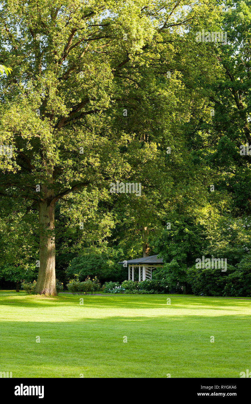 Gazebo under trees Stock Photo Alamy