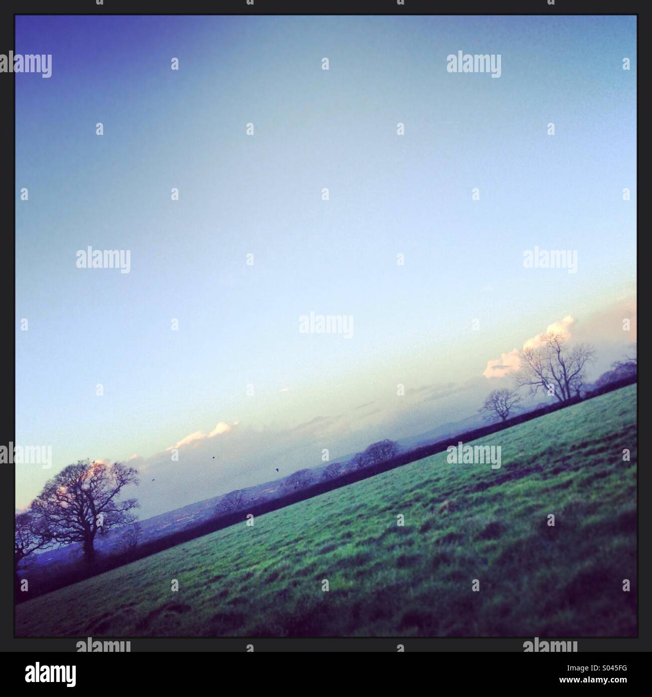 Woodbury common devon hires stock photography and images Alamy