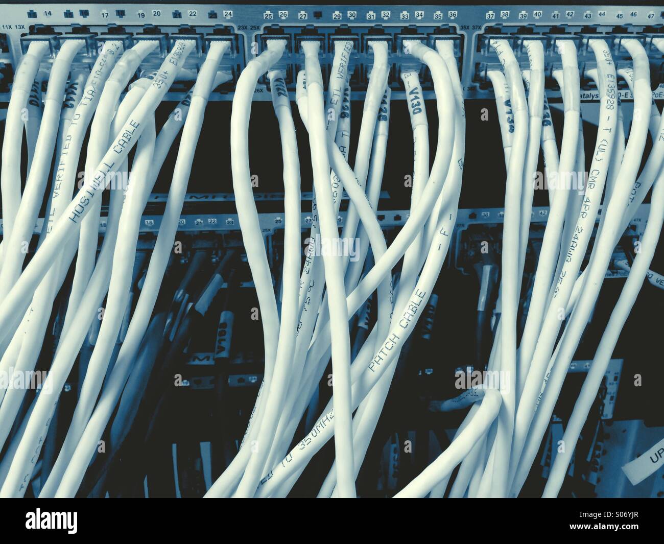 Network computer cables Stock Photo Alamy
