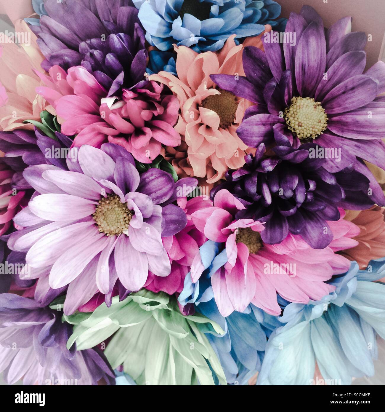 Fade hires stock photography and images Alamy