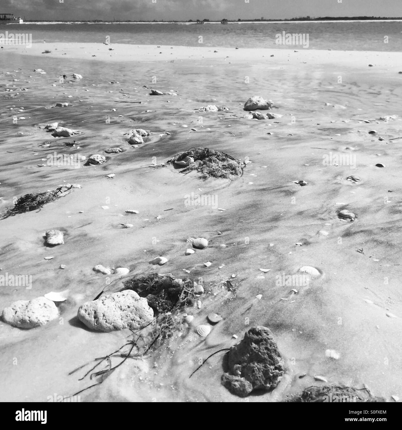 Beaches not sandy Black and White Stock Photos & Images Alamy