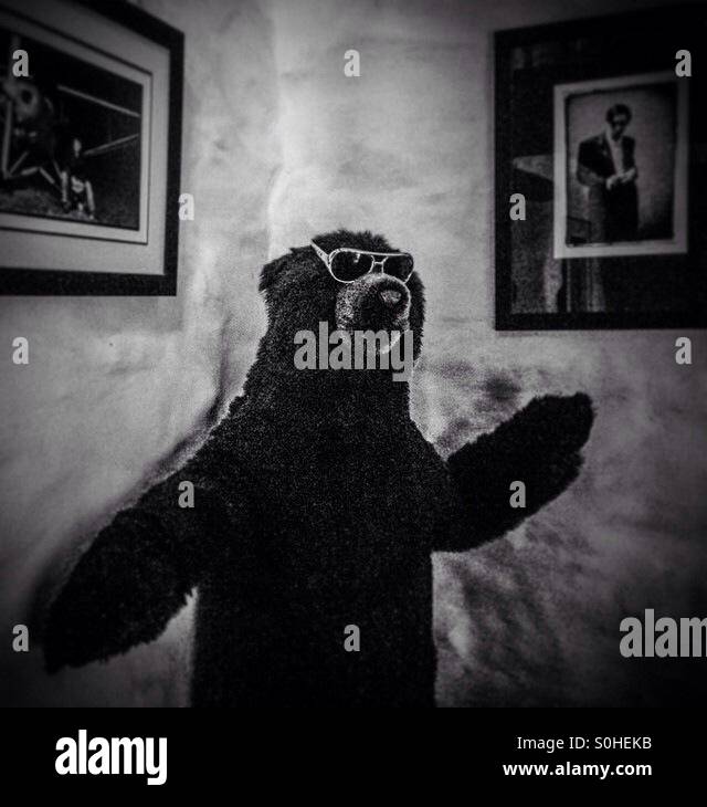 Toy bear dancing Stock Photo Alamy