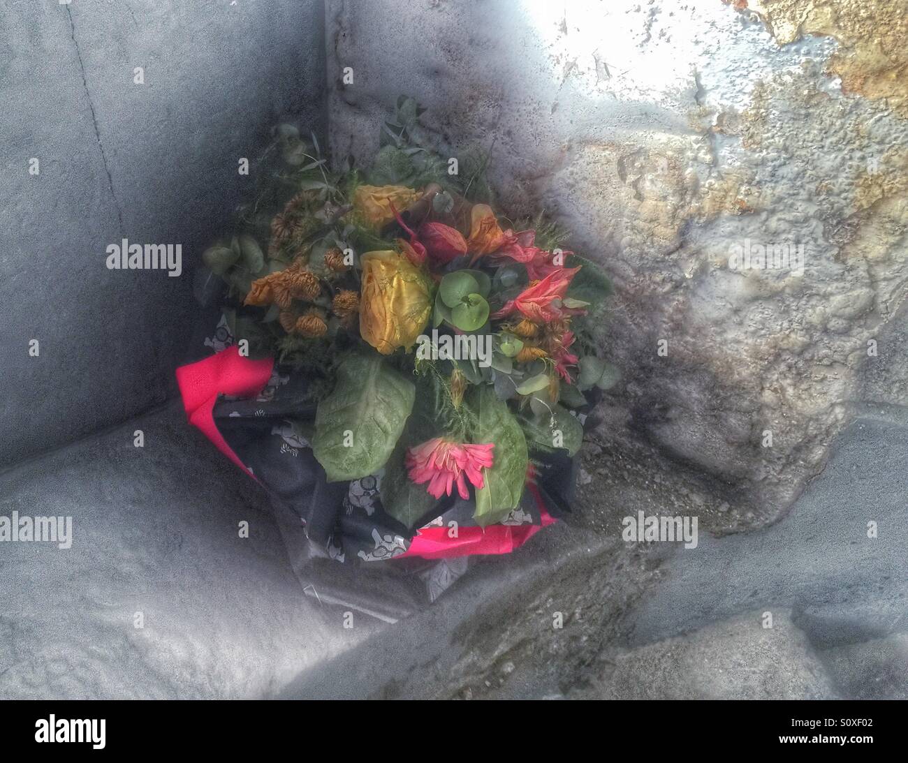 Dead flowers interior hires stock photography and images Alamy