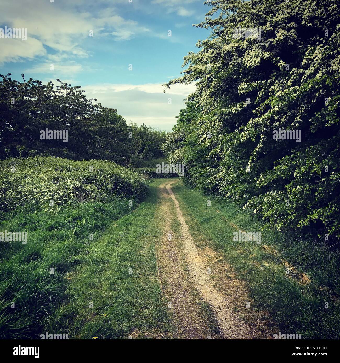 Land of greenery hires stock photography and images Alamy