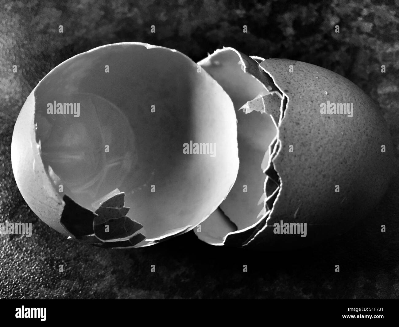 White egg Black and White Stock Photos & Images Alamy