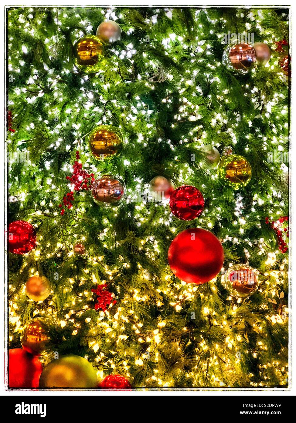 Christmas tree bulbs Stock Photo Alamy