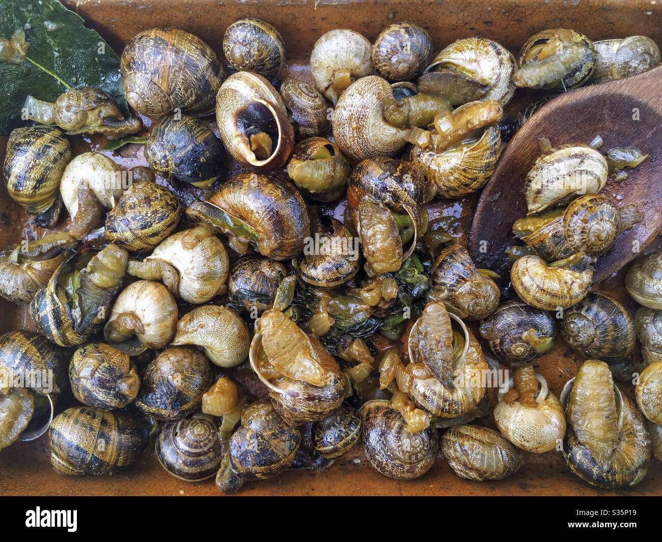 France snails hires stock photography and images Alamy