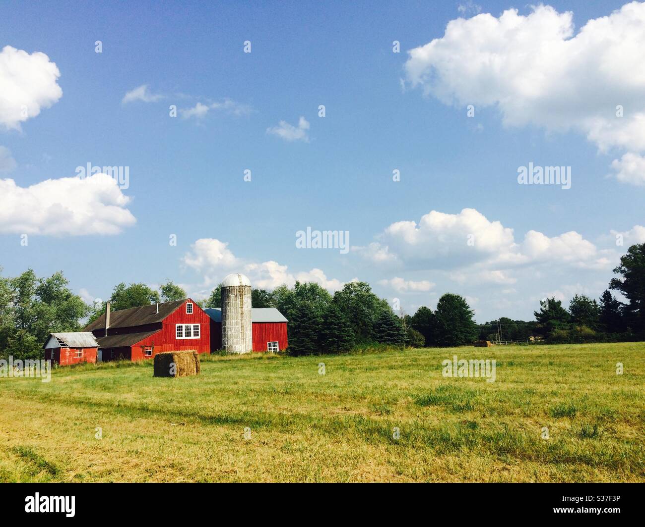 Sky trees grass hires stock photography and images Alamy