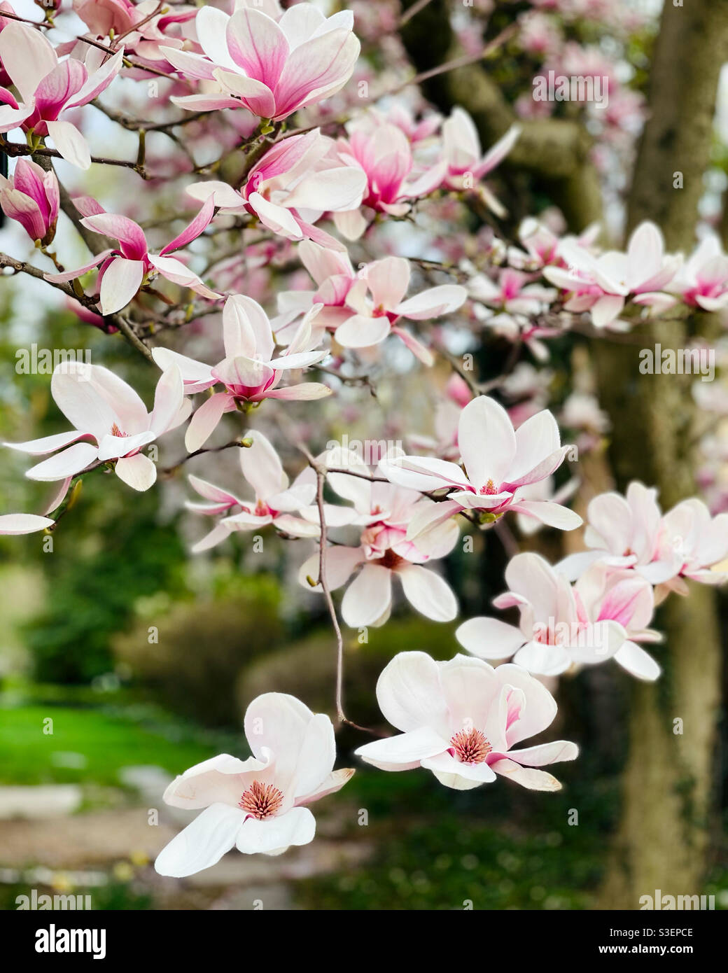 Spring 2021 hires stock photography and images Alamy