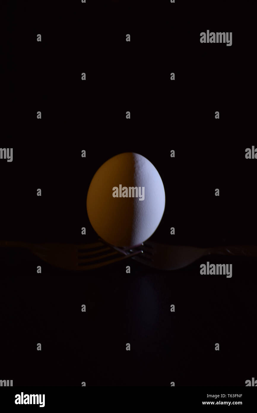 Egg under single light source Stock Photo Alamy